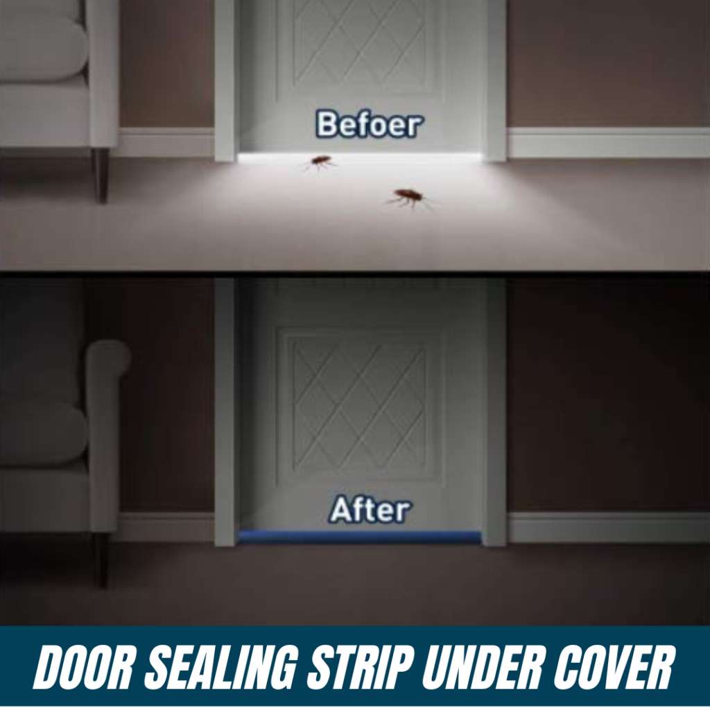 DOOR UNDER COVER